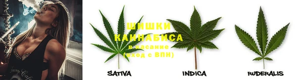 гидропоника Абаза