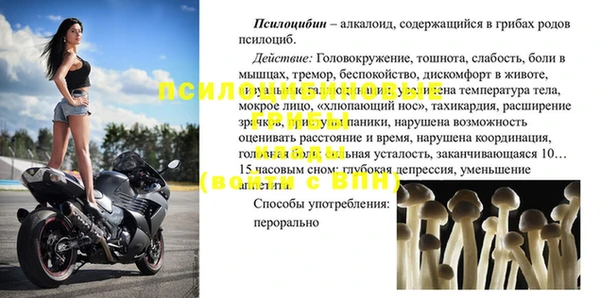 молекула духа Сатка