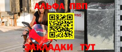 гашик Малгобек