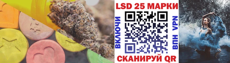 блэк спрут онион даркнет сайт Богородск Лсд 25 экстази ecstasy