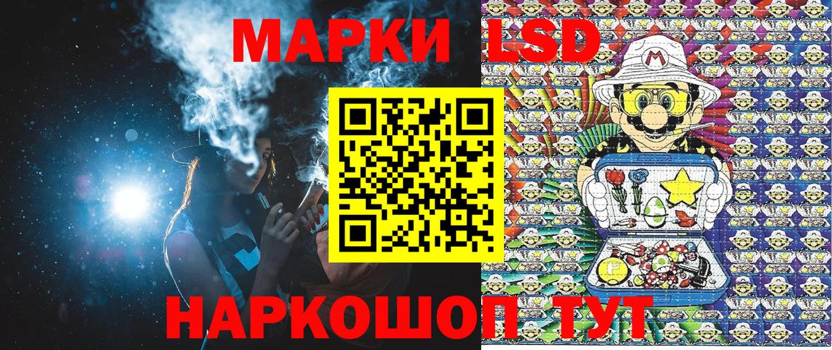 МЕФ Богородск