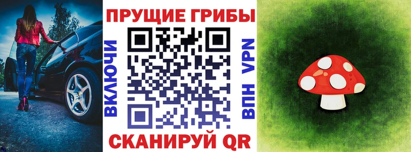 купить закладку  Богородск  Галлюциногенные грибы GOLDEN TEACHER 