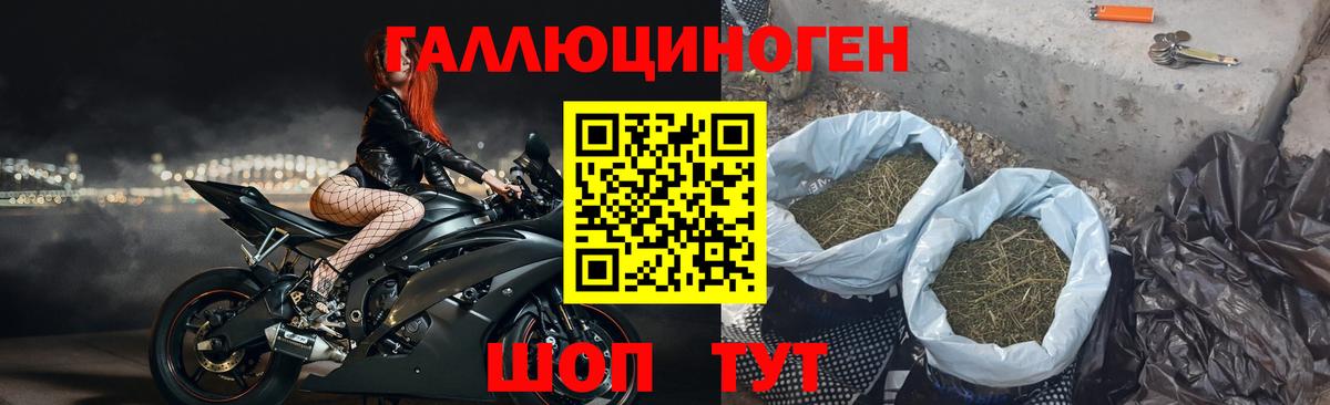 Богородск  Псилоцибиновые грибы мухоморы  Вход с VPN 